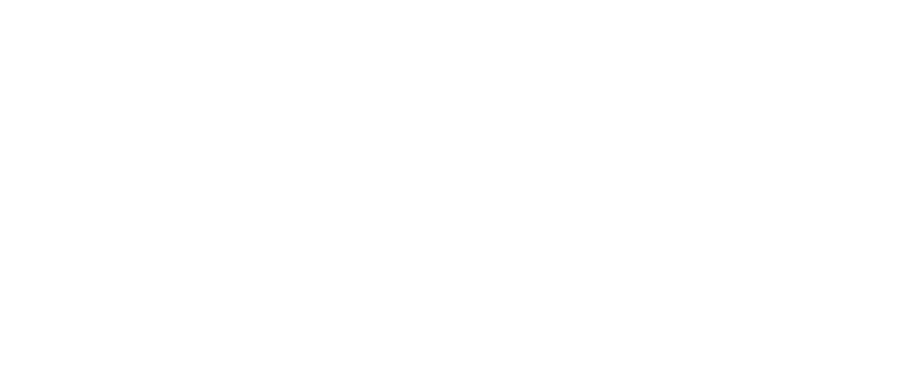 logo1
